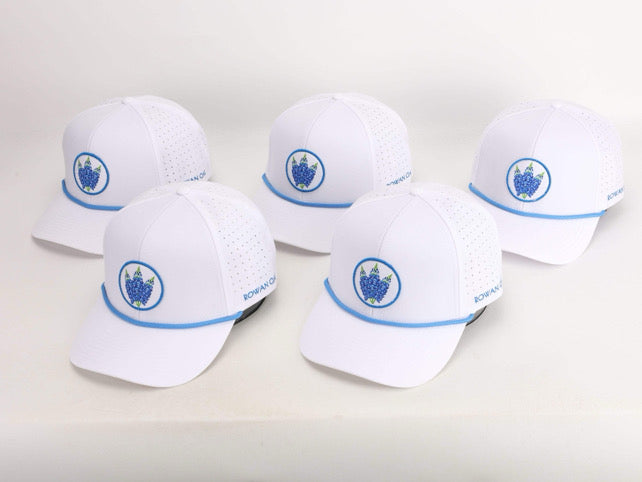 Bluebonnet 6-Panel