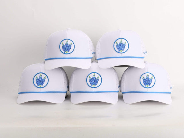 Bluebonnet 6-Panel