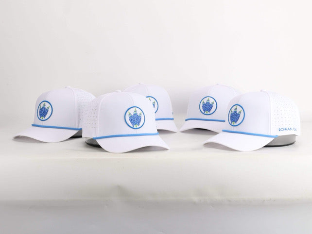 Bluebonnet 6-Panel